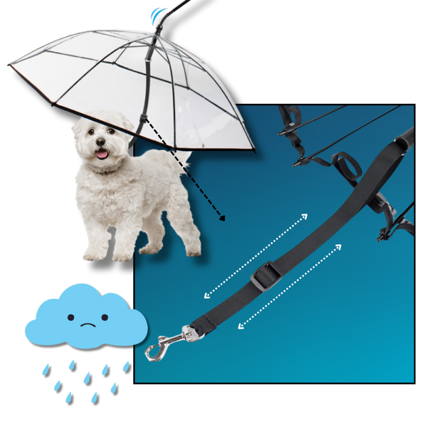 Clear Rainproof Dog Umbrella Leash Keeps Your Dog Dry During Walks
