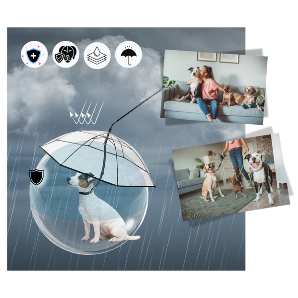 Clear Rainproof Dog Umbrella Leash Keeps Your Dog Dry During Walks