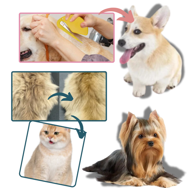 Premium Pet Hair Detangler For Knots With Ergonomic Grip