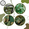 Water Resistant Camouflage Fabric for Outdoor Adventures