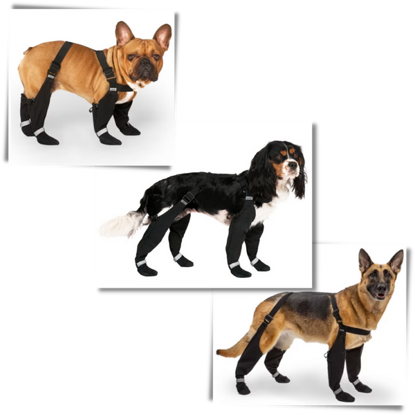 Waterproof Dog Boots With Adjustable Suspenders For All Weather Comfort