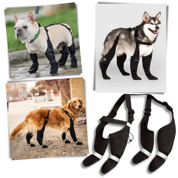 Waterproof Dog Boots With Adjustable Suspenders For All Weather Comfort