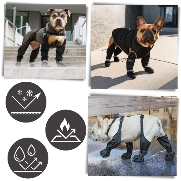 Waterproof Dog Boots With Adjustable Suspenders For All Weather Comfort