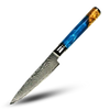 Riviera Maya 67 Layer Damascus Steel Japanese Knives For Precision Cutting